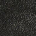 Kalaparkki Kala-Raisu, lohikoriste Sisäpuolen nahan väri: musta